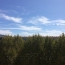  Annonces MARSEILLE4 : Appartement | MARSEILLE (13012) | 66 m2 | 875 € 