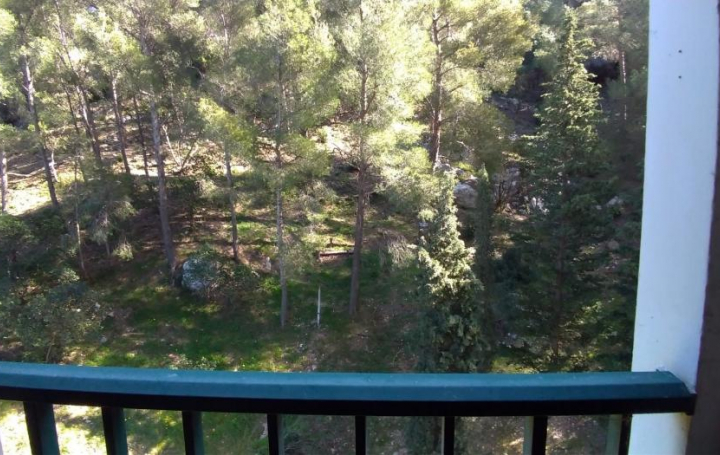 Annonces MARSEILLE4 : Appartement | MARSEILLE (13009) | 92 m2 | 210 000 € 